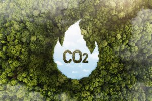 Vplyv človeka na rovnováhu CO₂ a kyslíka v atmosfére